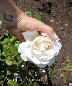 tattoo and white rose
